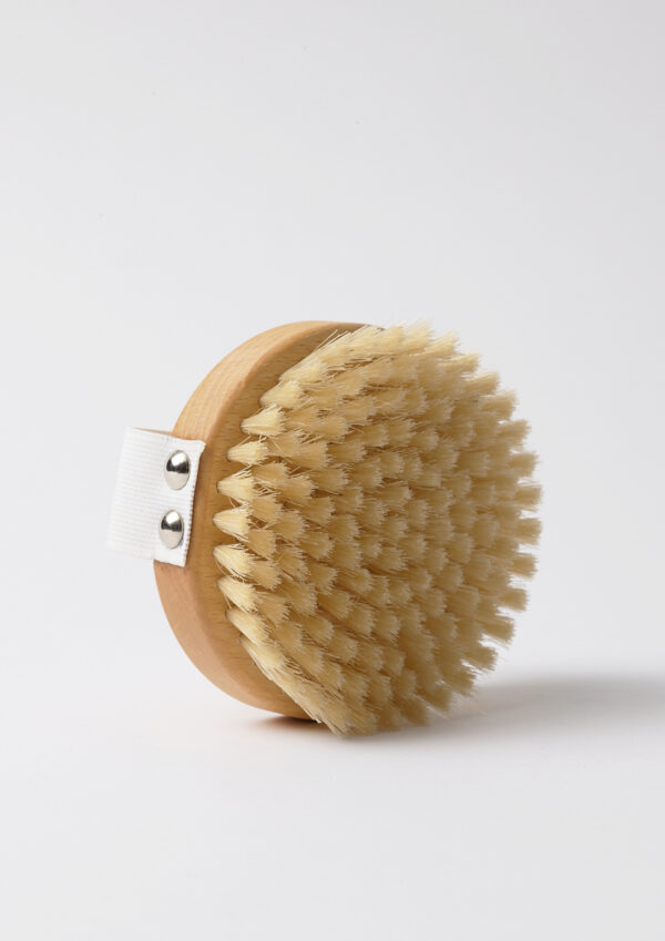 Djusie_Body_Brush_HR2 Djusie_Body_Brush_HR2
