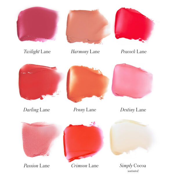 Flower, Petal, Plant Flower, Petal, Plant