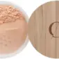 couleur-caramel-high-definition-silk-powder-n11-transparent-2902-106-0011_1
